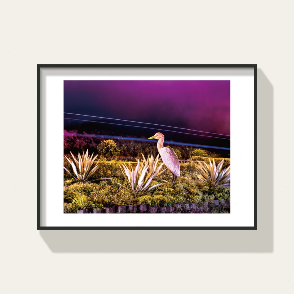 Ghost Park · Shimen White Heron by Peng Yihang, a horizontal limited-edition artwork featuring animals and photographic and realistic imagery, in black and white and blue tones.