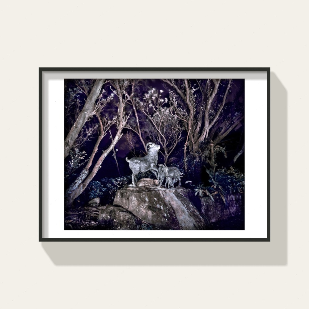 Ghost Park · Jasper Sheep by Peng Yihang, a horizontal limited-edition artwork featuring animals and photographic and realistic imagery, in black and white and blue and purple tones. Cover image.