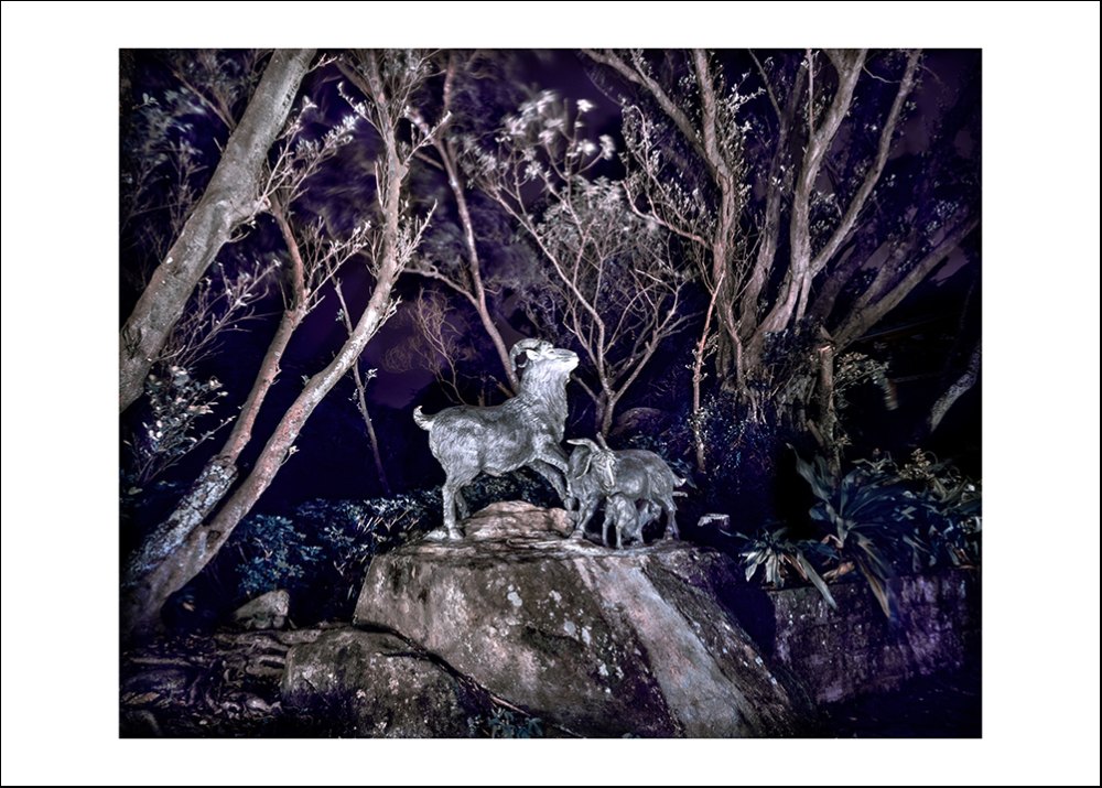 Ghost Park · Jasper Sheep by Peng Yihang, a horizontal limited-edition artwork featuring animals and photographic and realistic imagery, in black and white and blue and purple tones. Artwork image.