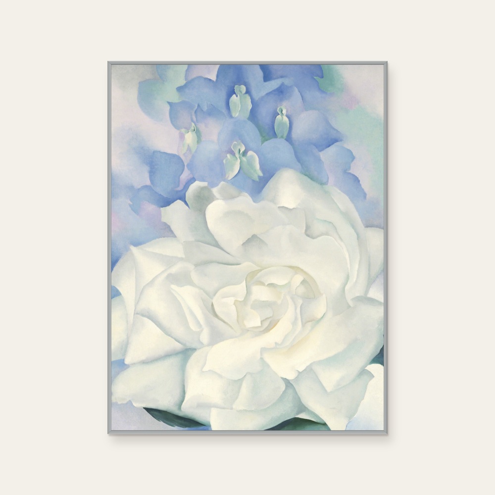 歐姬芙 Georgia O'Keeffe《白玫瑰與飛燕草》:藍與黑白色調,花卉植物與靜物題材,直幅藝術掛畫。 封面圖片。