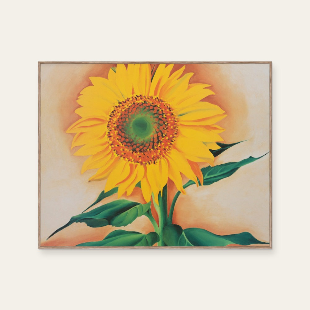 歐姬芙 Georgia O'Keeffe|瑪姬的向日葵 — 照片 1