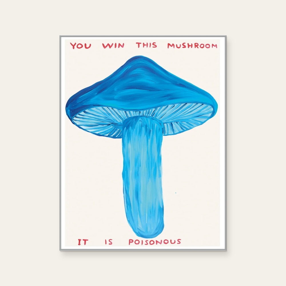 David Shrigley|you win this mushroom (你贏得這個蘑菇) — 照片 1