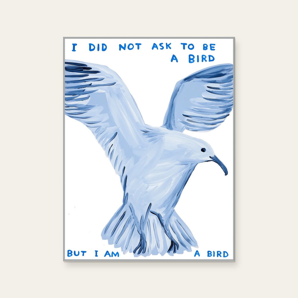 David Shrigley《I Did Not Ask To Be a Bird (我沒有要求成為一隻鳥)》:藍色調,動物題材,直幅海報。 封面圖片。