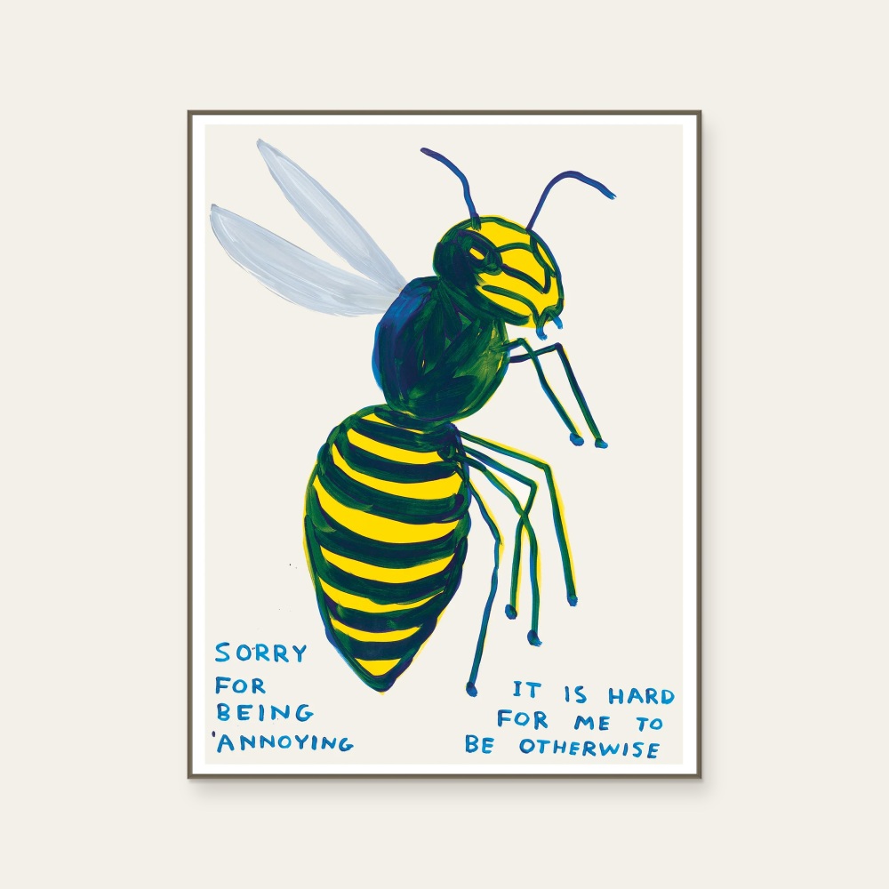 David Shrigley|sorry for being annoying (對不起,我煩人了) — 照片 1