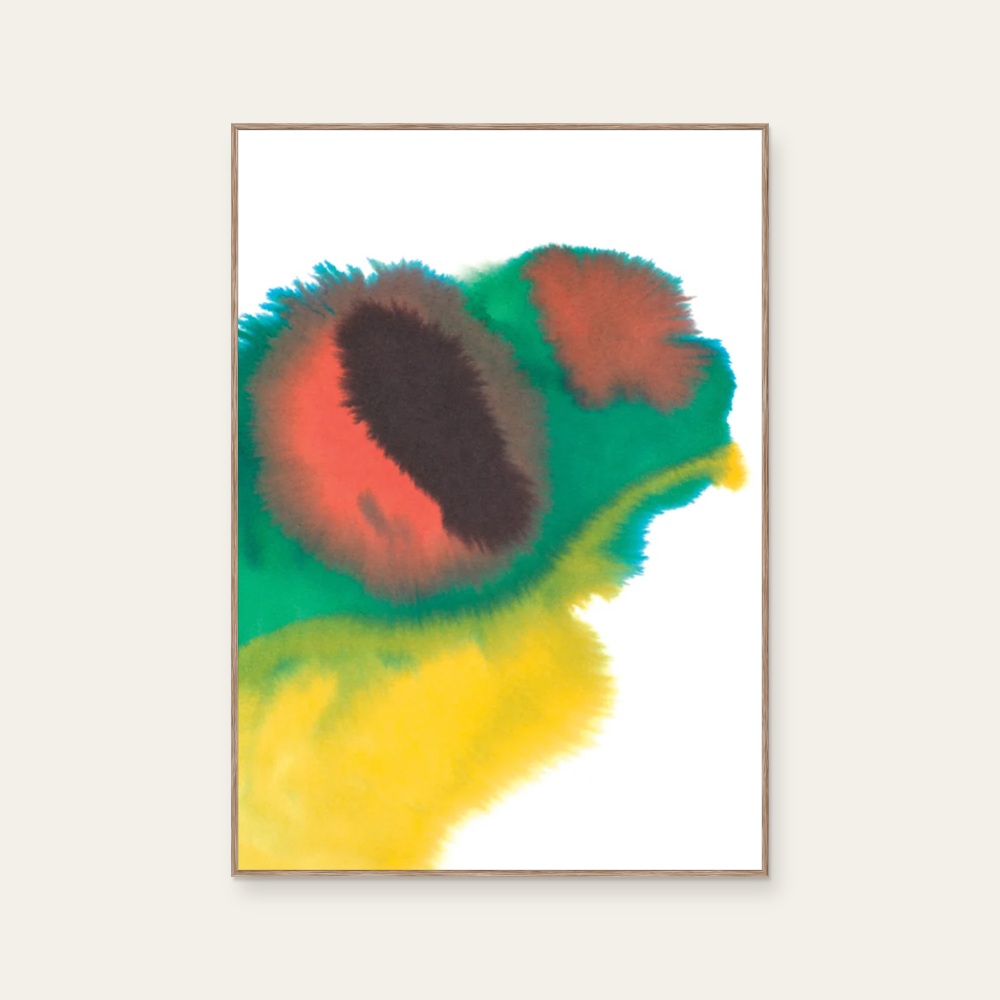 Rop van Mierlo|Frog — 照片 1