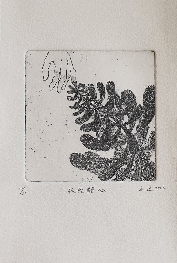 王文伶《版畫 · 輕輕觸碰》：黑白與灰色調，花卉植物與靜物與攝影與寫實題材，直幅限量作品。 作品原圖。