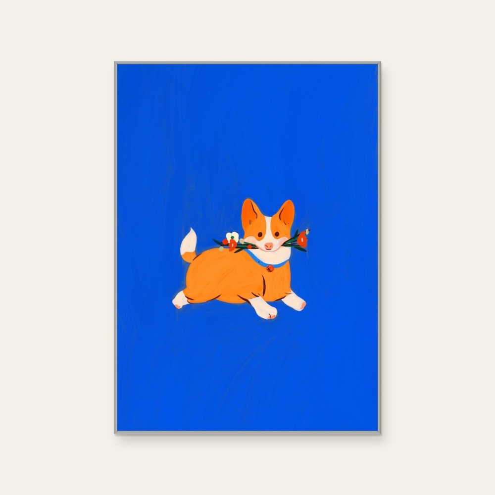 corgi (Corgi) — Photo 1