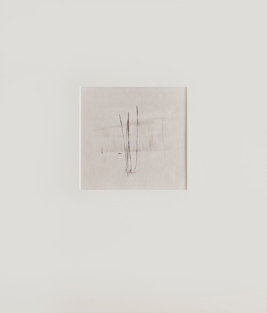 Dead grass on the snow #9 by Kino Koike, a vertical limited-edition artwork featuring natural landscapes and photographic and realistic imagery, in black and white tones. Artwork image.