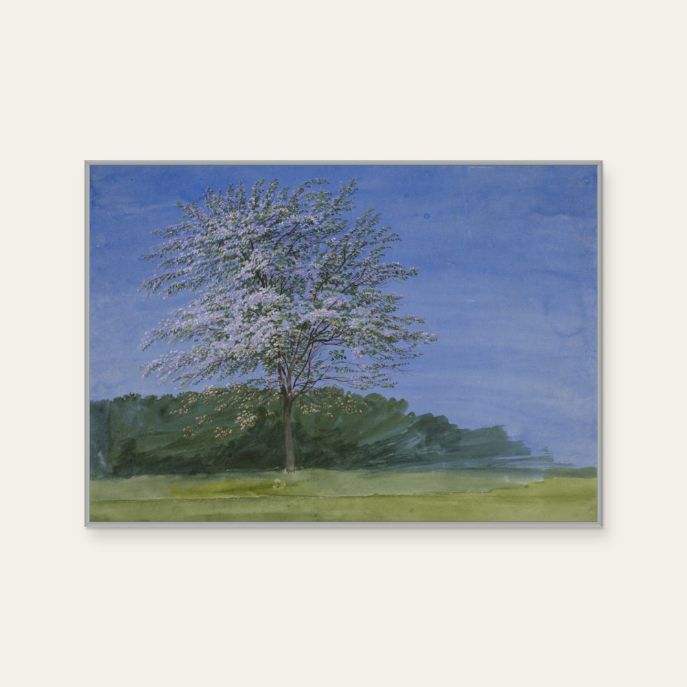 威廉·透納 William Turner《Study of a Tree in Bloom》:藍色調,自然風景題材,橫幅藝術掛畫。 封面圖片。