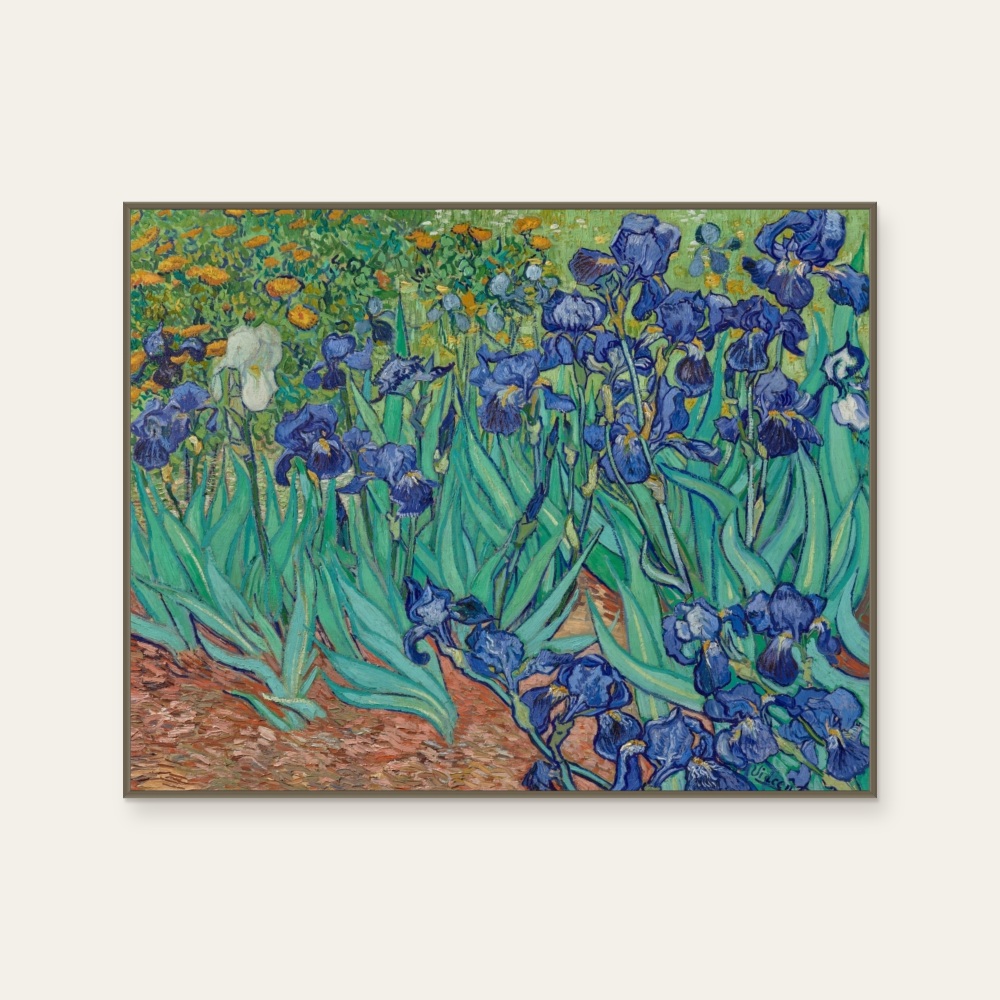 Irises 1899 — Photo 1