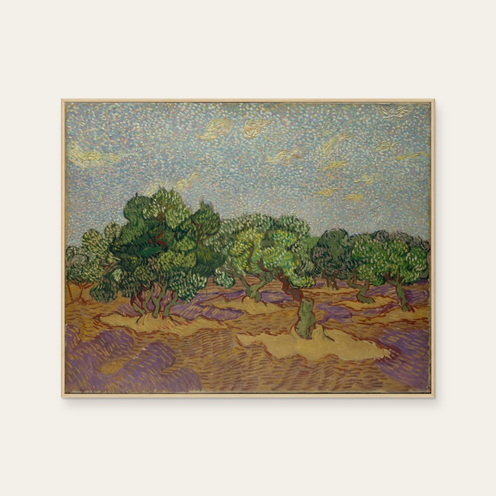 梵谷 Van Gogh|Olive Trees — 照片 1