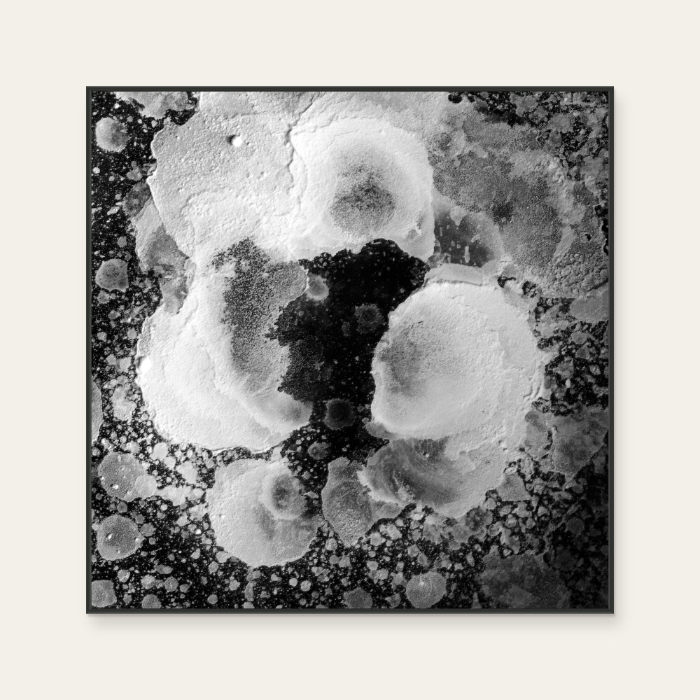 Changing Scenery No. 4 — Photo 1