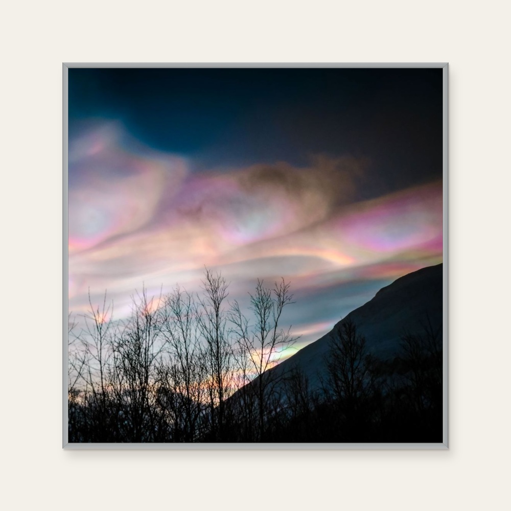 Fire Rainbow and Tree — Photo 1