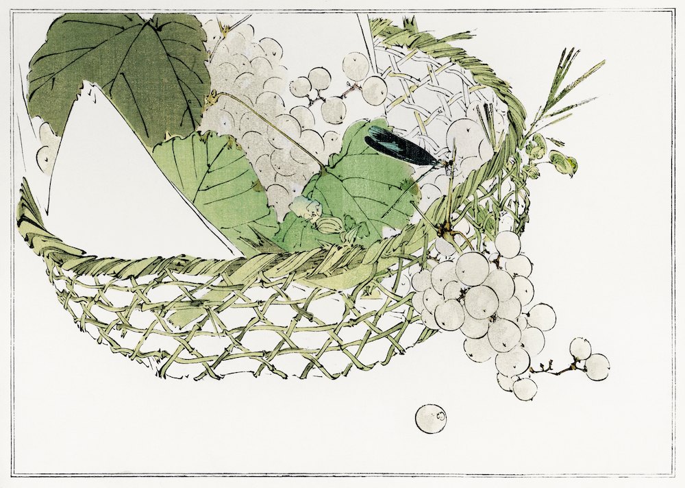 渡辺省亭《日本花鳥畫作-一籃子葡萄》：黑白與綠色調，花卉植物與靜物題材，橫幅藝術掛畫。 作品原圖。